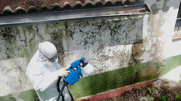 Top rated local Attic Mold Remediation specialists in Perryville, MD